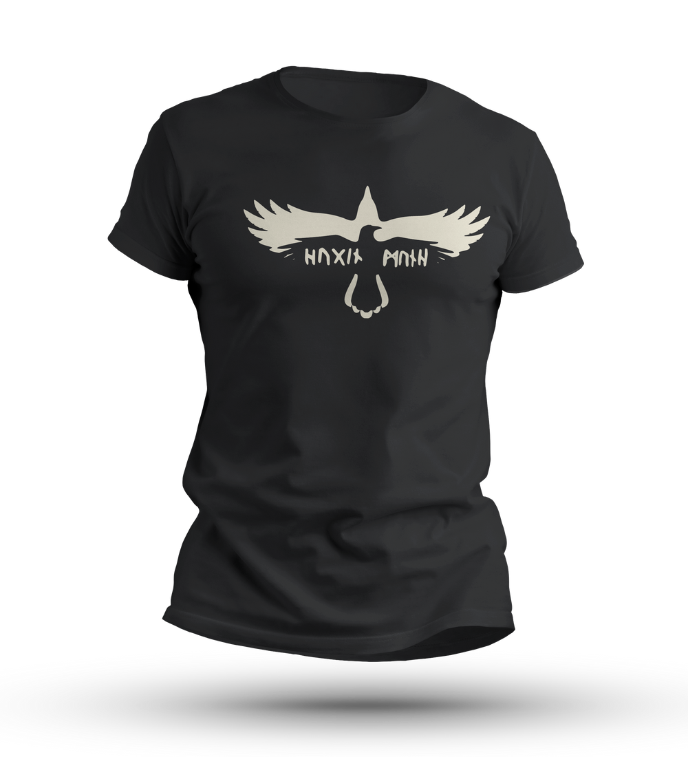 Ravens t-shirt